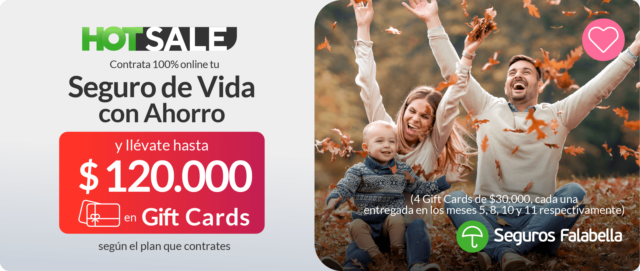 Vida generica