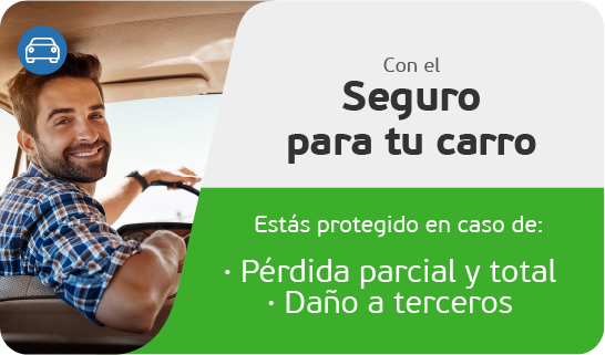 Caluga Seguro de Carro Generica